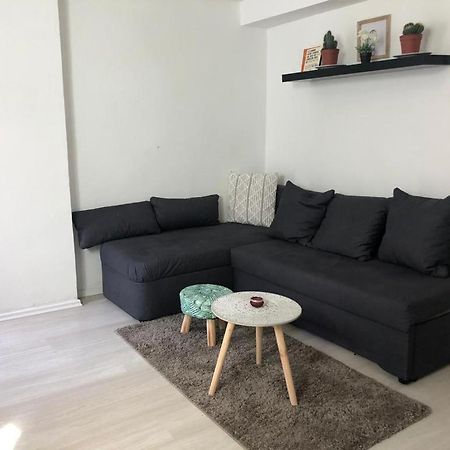 Bescheidene Untergeschoss Wohnung In Guter Lage. Köln Eksteriør bilde